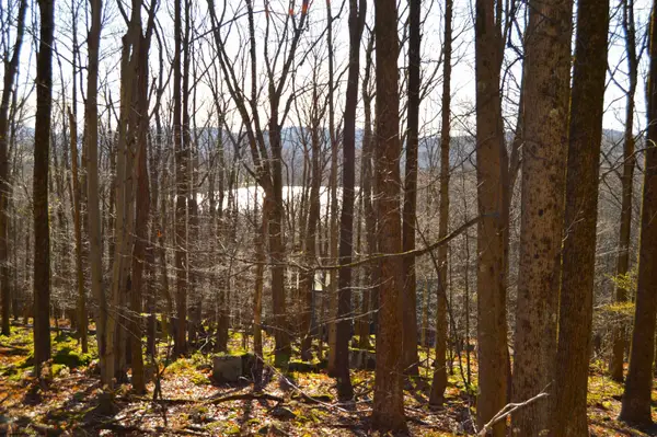 Lot 154 Daisy Drive, Terra Alta, WV 26764