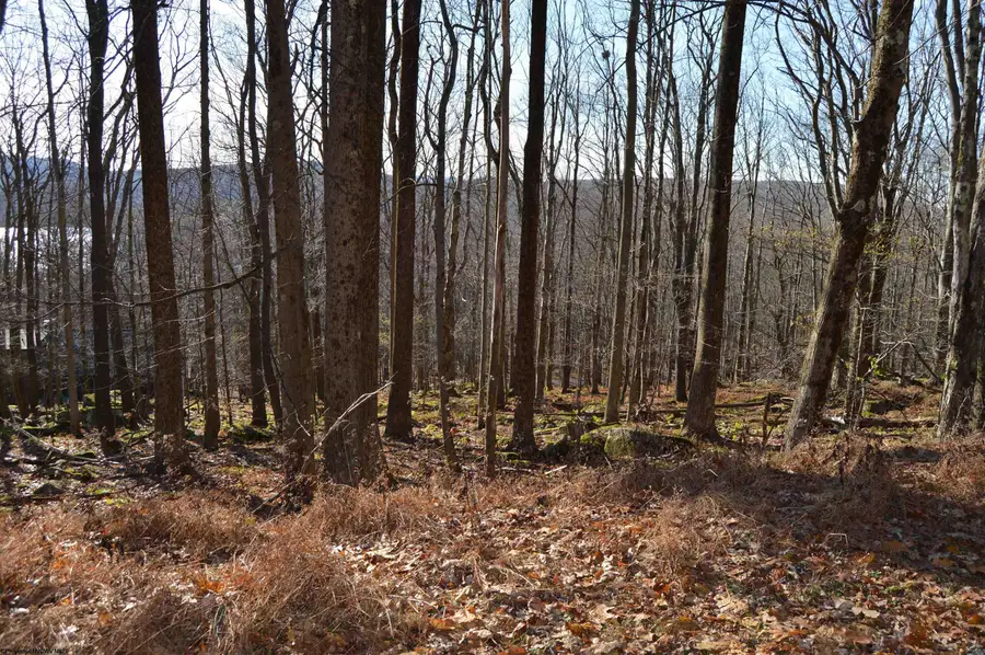 Lot 154 Daisy Drive, Terra Alta, WV 26764 - #3