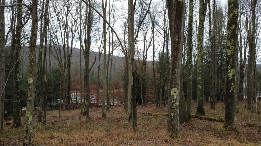 175 Laurel Circle, Terra Alta, WV 26764 - Image #3