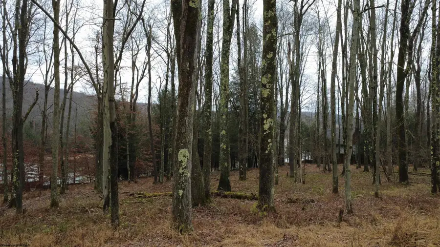 176 Laurel Circle, Terra Alta, WV 26764 - Image #2