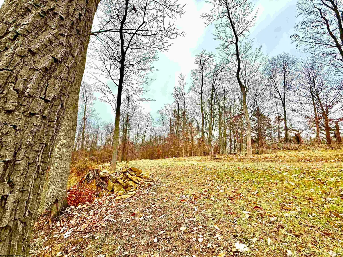 413 Brindle Lane, Morgantown, WV 26508 - Image #1