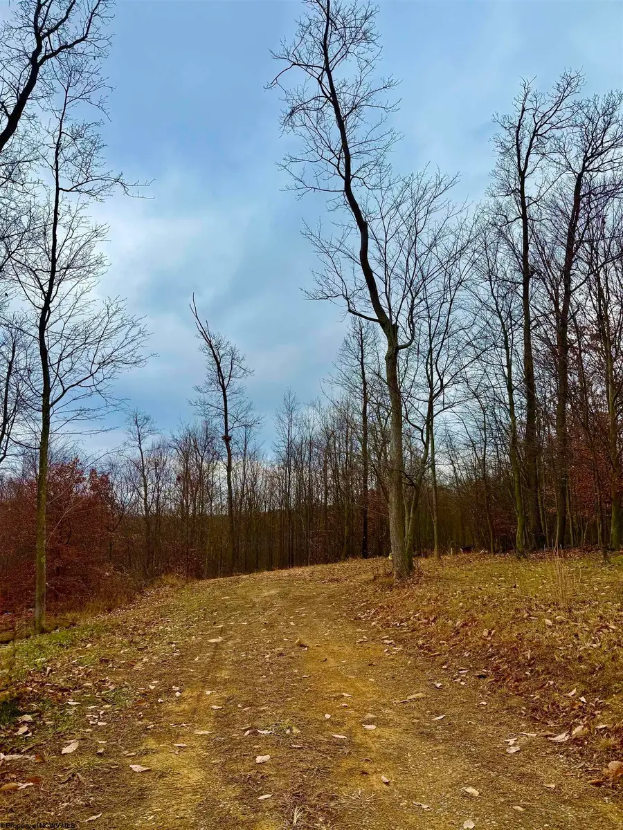 413 Brindle Lane, Morgantown, WV 26508 - Image #2