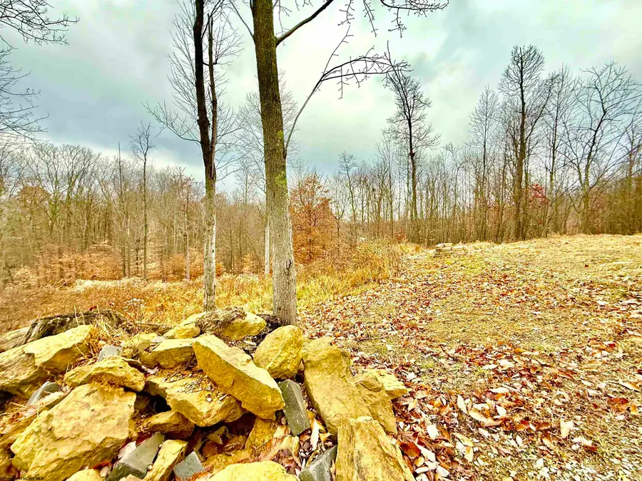 413 Brindle Lane, Morgantown, WV 26508 - Image #3