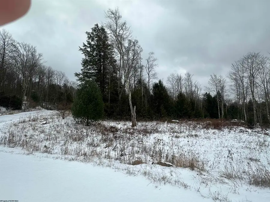Lot 85 Gondola Court, Davis, WV 26260 - Image #3