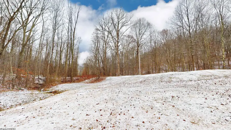 60 STONEHOUSE HOLLOW Road, Grafton, WV 26354 - Image #3