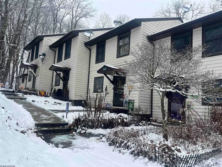 56 Baneberry Lane, Terra Alta, WV 26764-0000 - Image #3