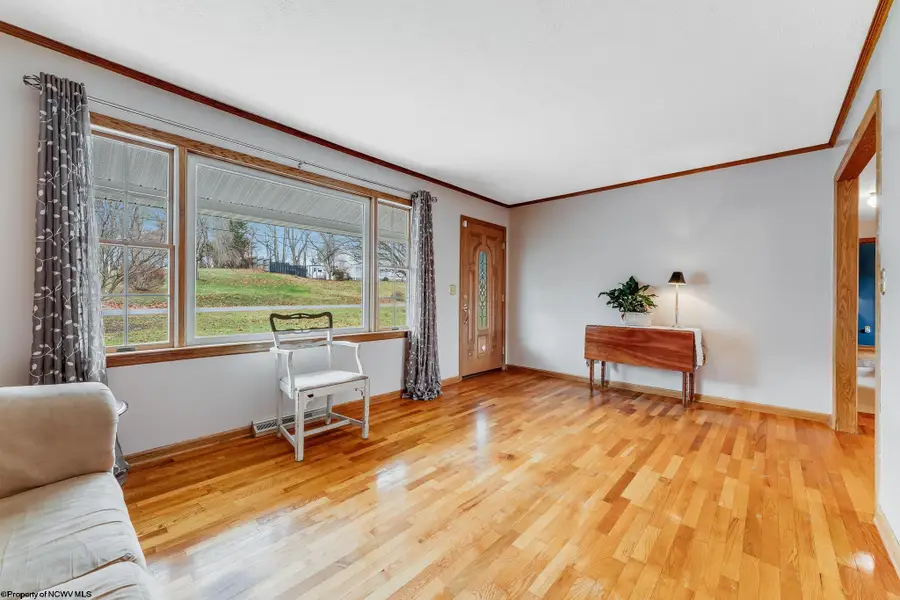 64 Long Street, Hambleton, WV 26269 - Image #2