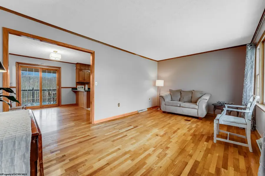 64 Long Street, Hambleton, WV 26269 - Image #3