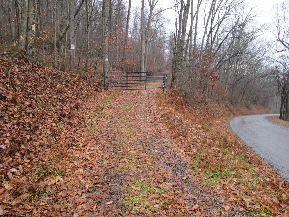 TBD N Pheasant Mountain Road, Kerens, WV 26276-0010 - Image #1