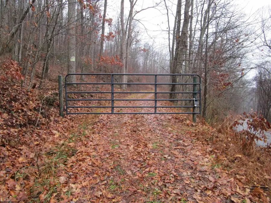 TBD N Pheasant Mountain Road, Kerens, WV 26276-0010 - Image #2