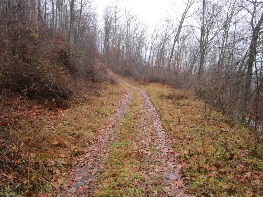 TBD N Pheasant Mountain Road, Kerens, WV 26276-0010 - Image #3