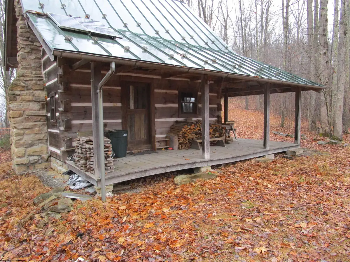 TBD Pheasant Mountain Road, Black Fork, WV 26287-1242 - Image #1