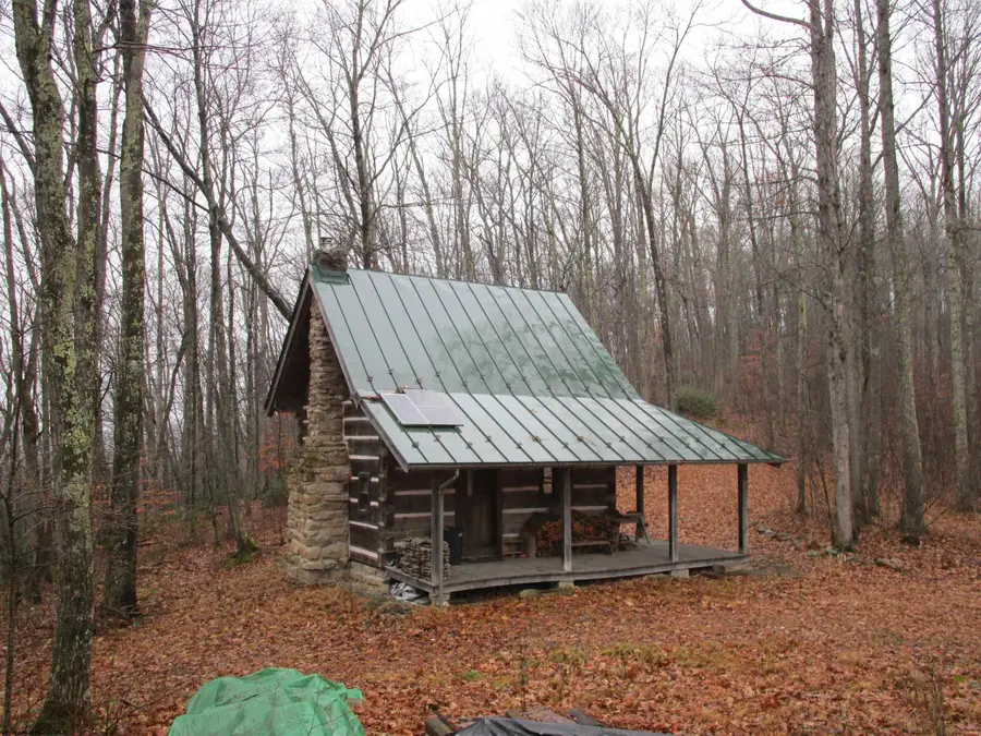 TBD Pheasant Mountain Road, Black Fork, WV 26287-1242 - Image #2