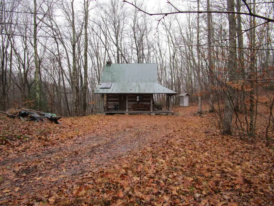 TBD Pheasant Mountain Road, Black Fork, WV 26287-1242 - Image #3