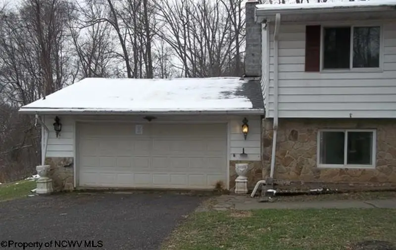 134 TURKEY RUN Road, Grafton, WV 26354-836 - Image #2