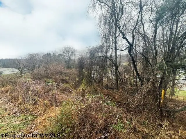 Lots 9 & 10 Ryan Road, Fairmont, WV 26554 - Image #2