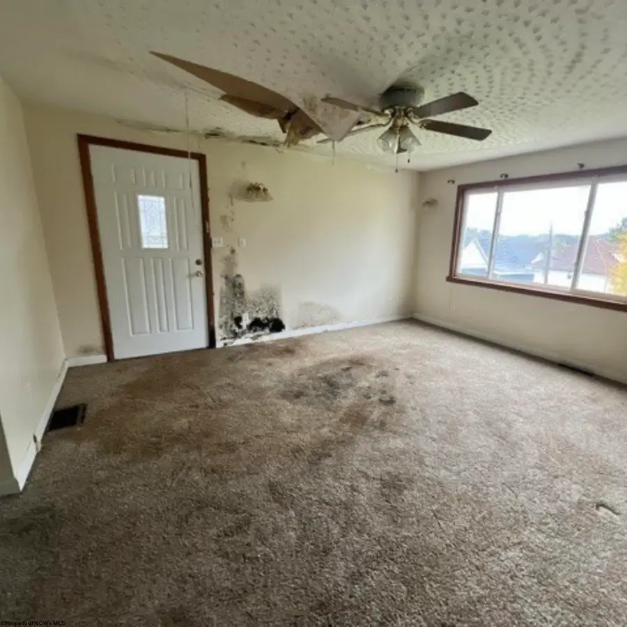 309 Wilson Street, Fairmont, WV 26554 - Image #2