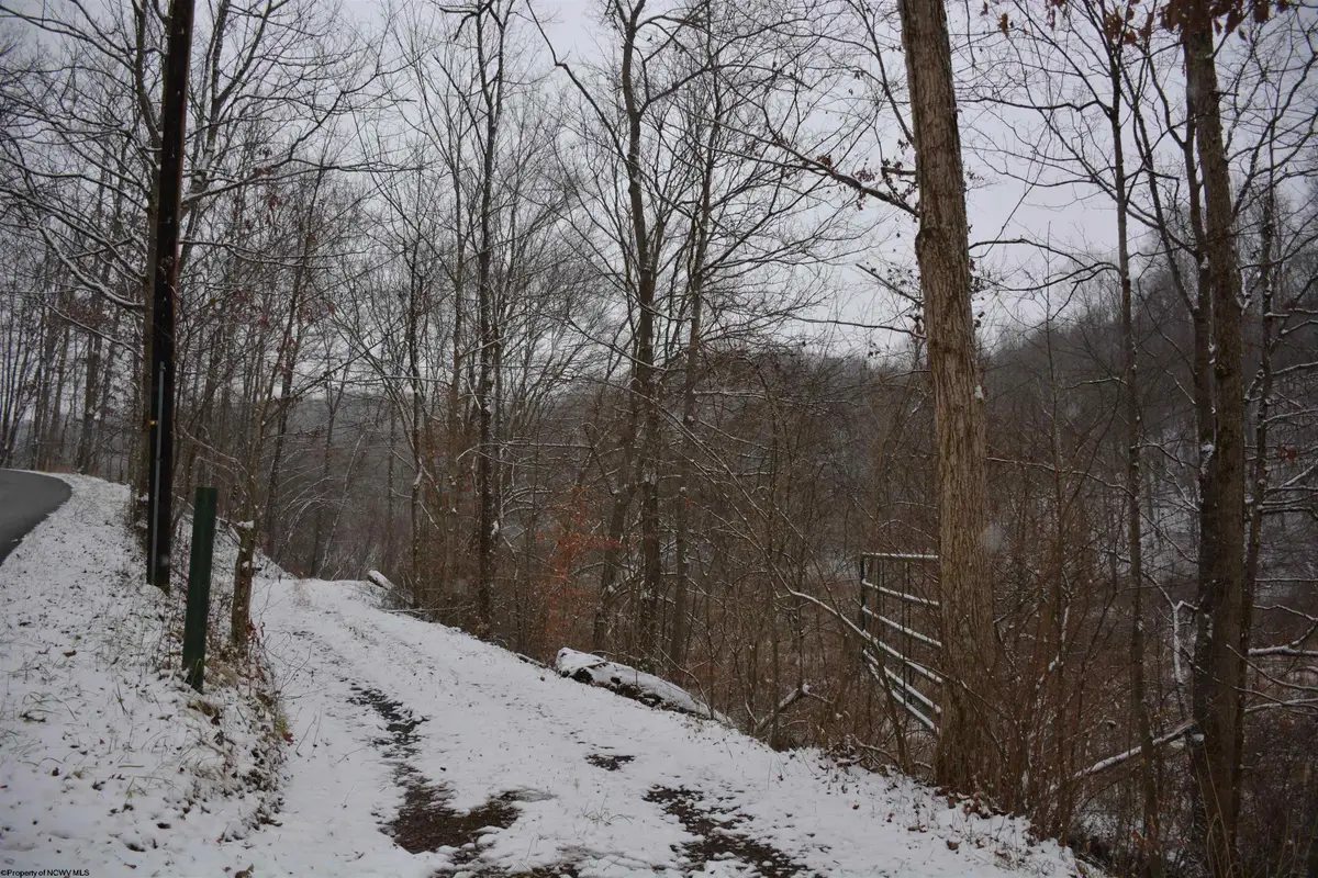 TBD Sand Fork Road, Roanoke, WV 26447-0000 - Image #1