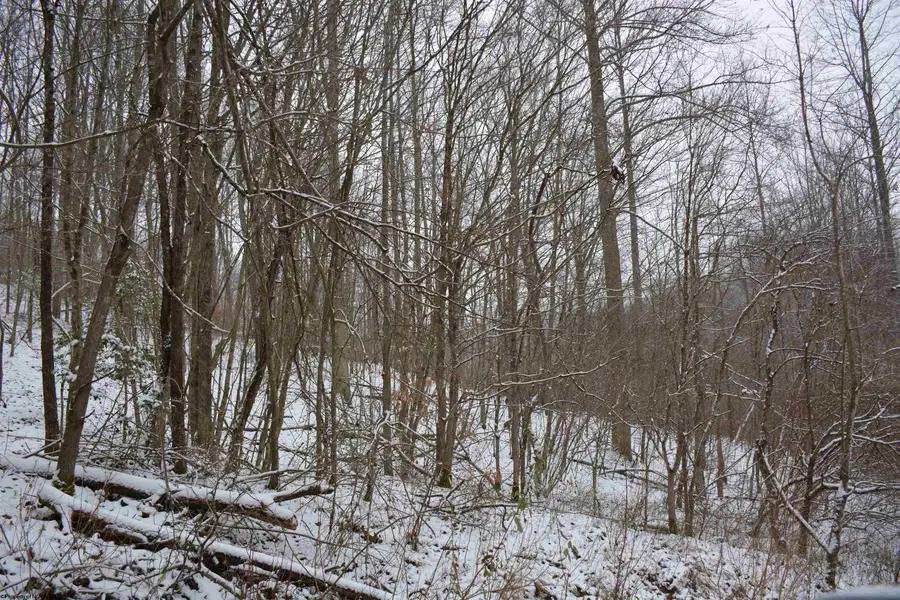 To Be Determine Sand Fork Road, Roanoke, WV 26447-0000 - Image #3