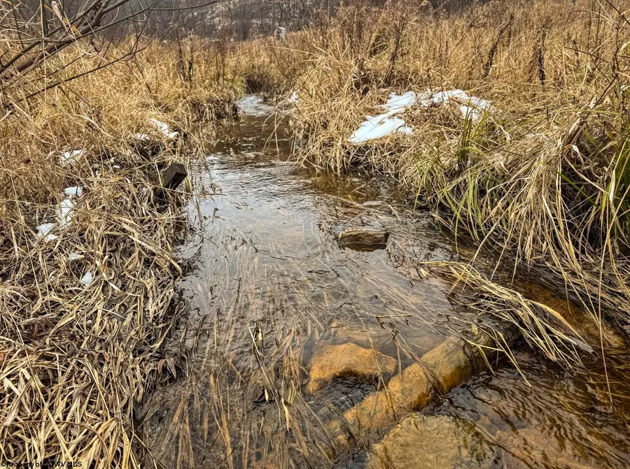 Lot 1 States Fork Road, Metz, WV 26585 - Image #3