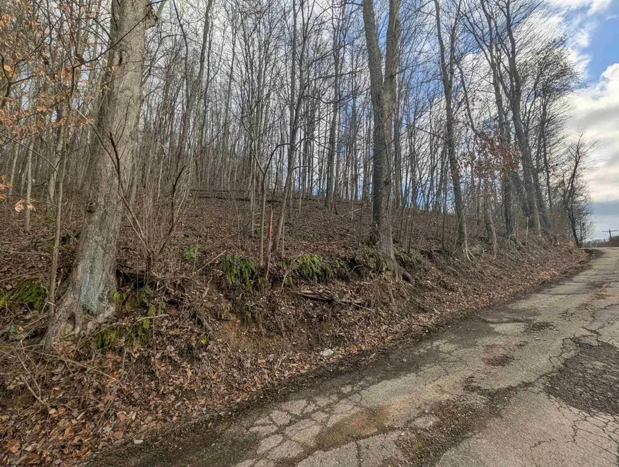 00 Helens Run Road, Worthington, WV 26591 - Image #2