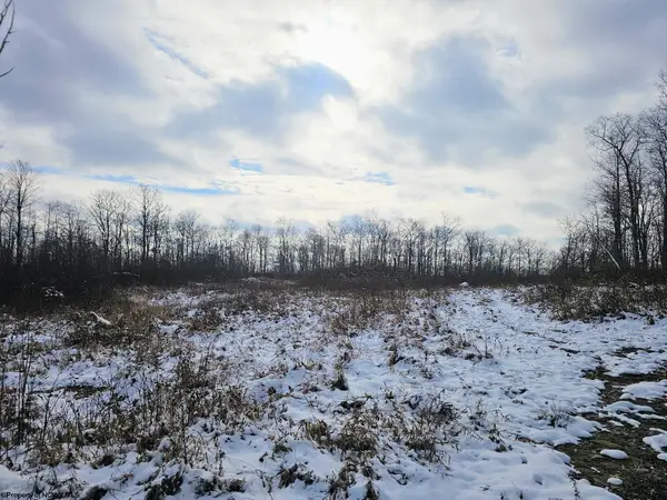 TBD Veterans Memorial Highway, Kingwood, WV 26537