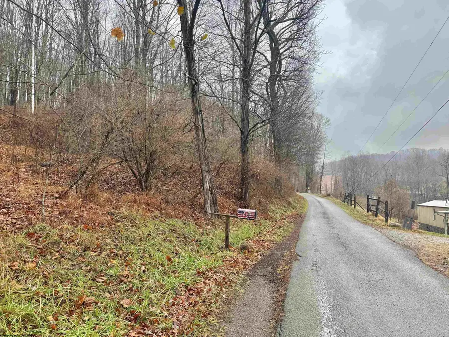 TBD Toms Run Road, Roanoke, WV 26447 - Image #2