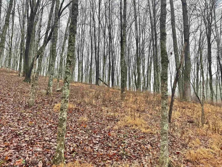 TBD Toms Run Road, Roanoke, WV 26447 - Image #3