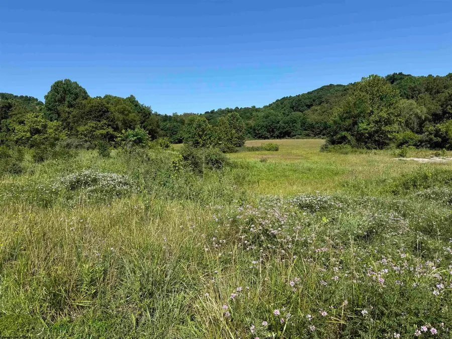TBD Middletown Road, Fairmont, WV 26554 - #3