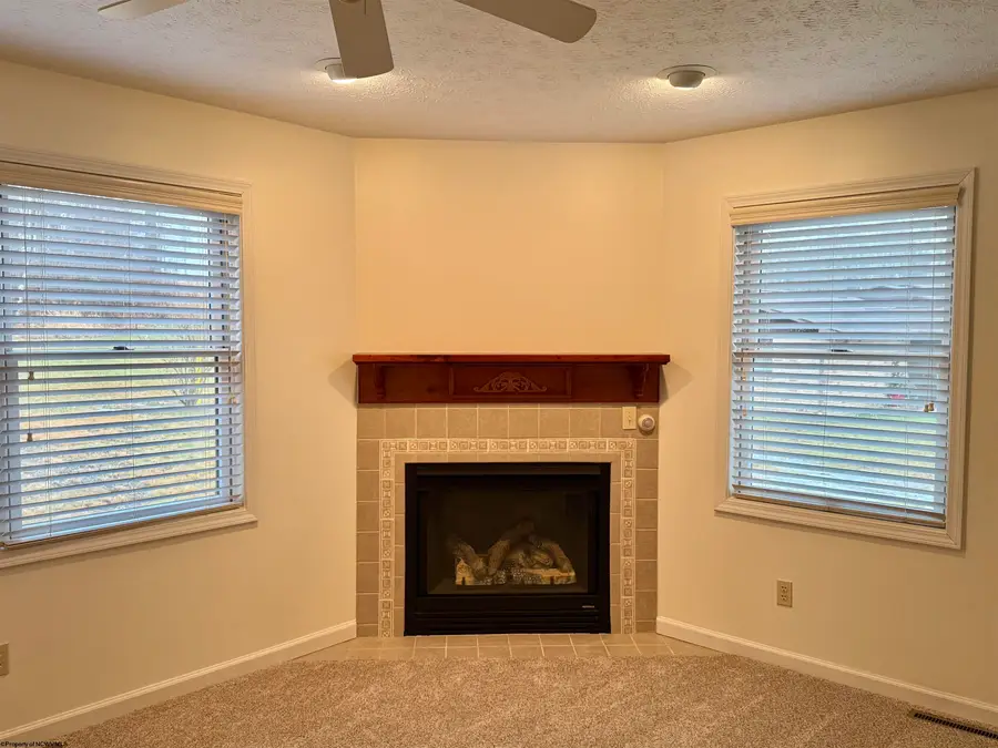410 Pineview Drive, Thomas, WV 26292-8018 - Image #3