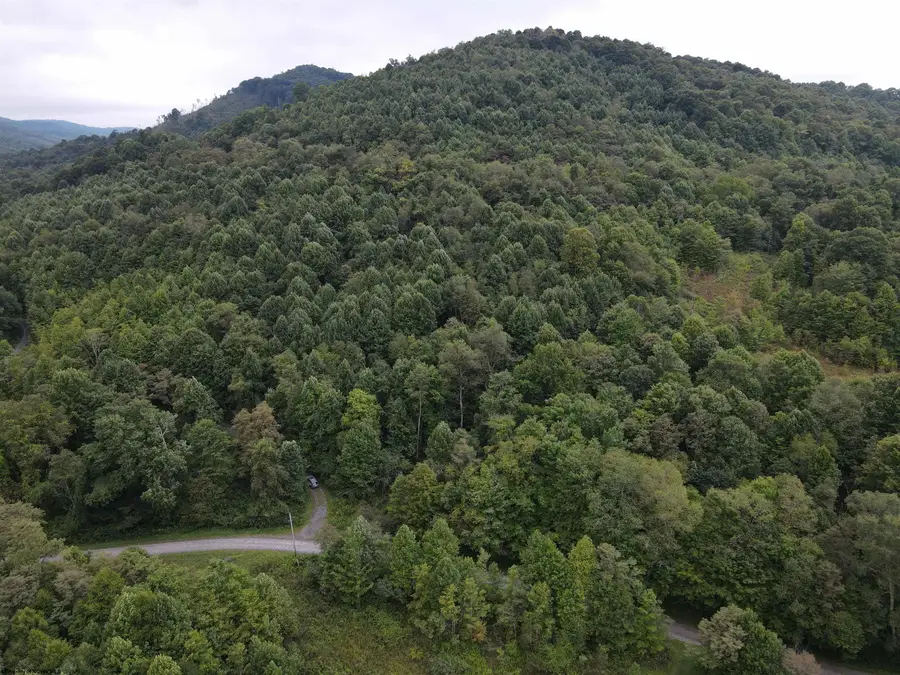 LOT B Jettsville Road, Fenwick, WV 26202 - Image #3