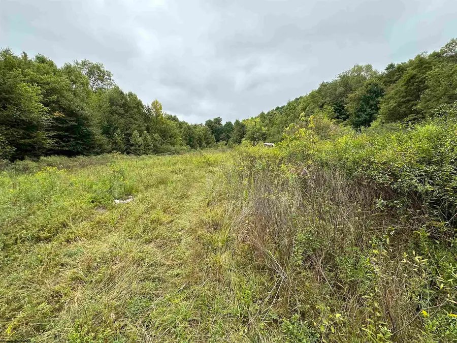 LOT E Jettsville Road, Fenwick, WV 26202 - Image #2