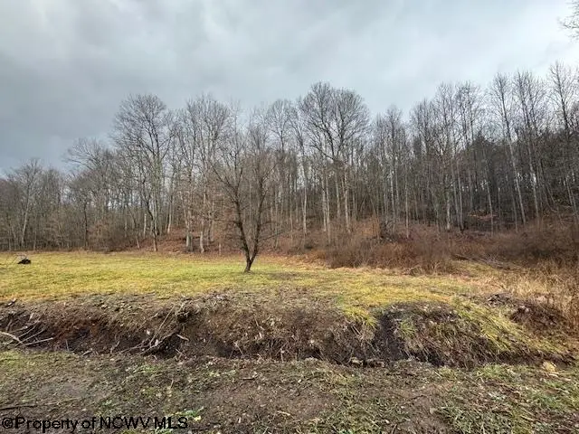 Lot 2 Trail View Lane, Masontown, WV 26542 - Image #3