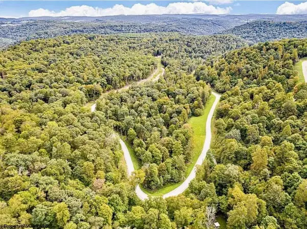 87 Whitewater Parkway, Bruceton Mills, WV 26525