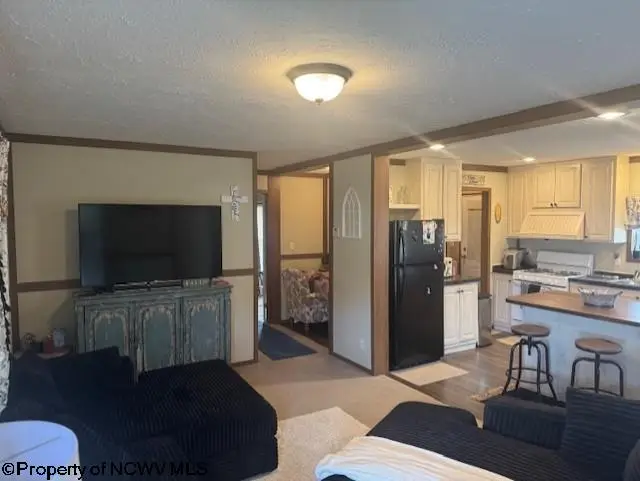 40 Yankee Lane, Beverly, WV 26253 - Image #3