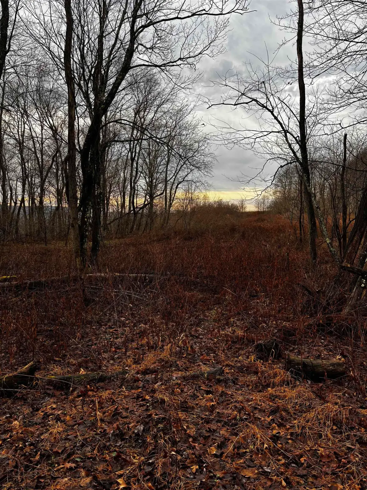 TBD Crab Orchard Road, Albright, WV 26519 - Image #1