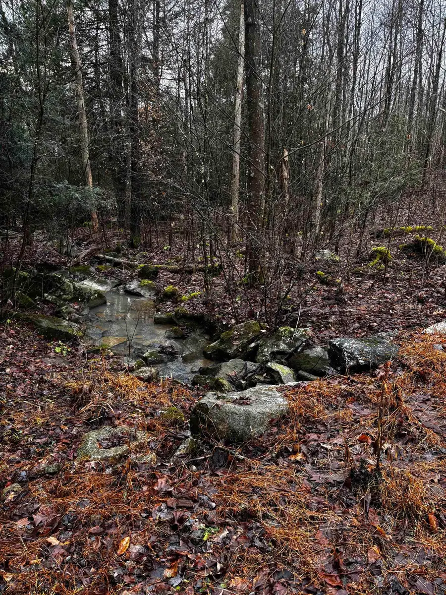 TBD Crab Orchard Road, Albright, WV 26519 - Image #3