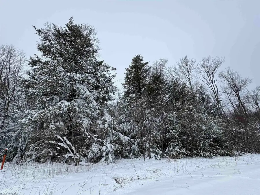 Lot 111 Canal Street, Davis, WV 26260 - Image #3