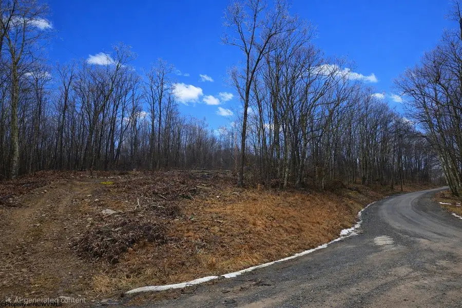 3101 W Teter Creek Road, Belington, WV 26250 - #3