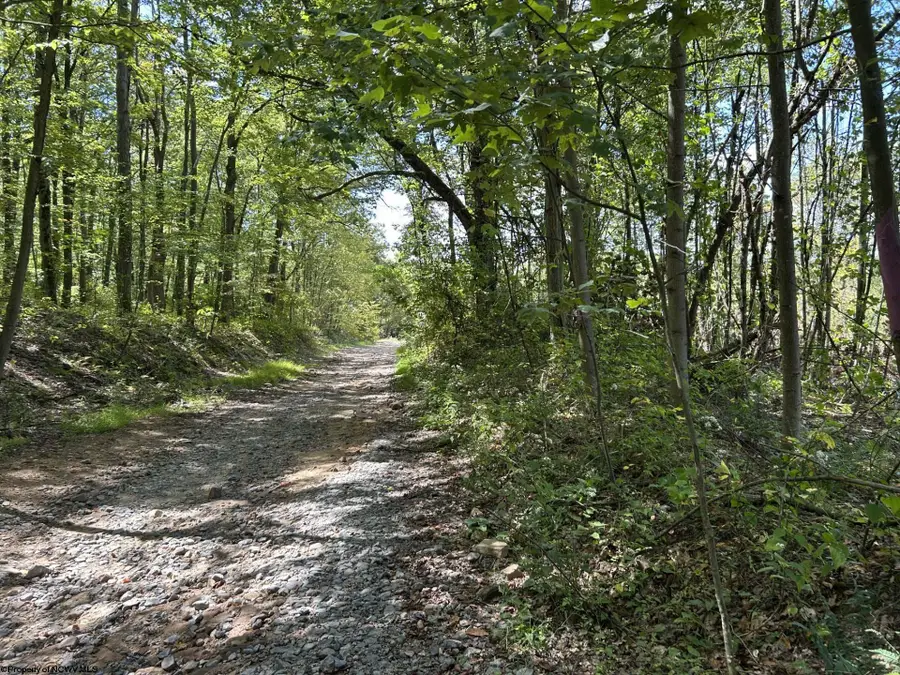 Lot 2 Crane School Road, Terra Alta, WV 26764 - Image #3