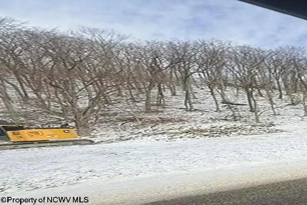 2511 Chenoweth Creek Road, Elkins, WV 26241