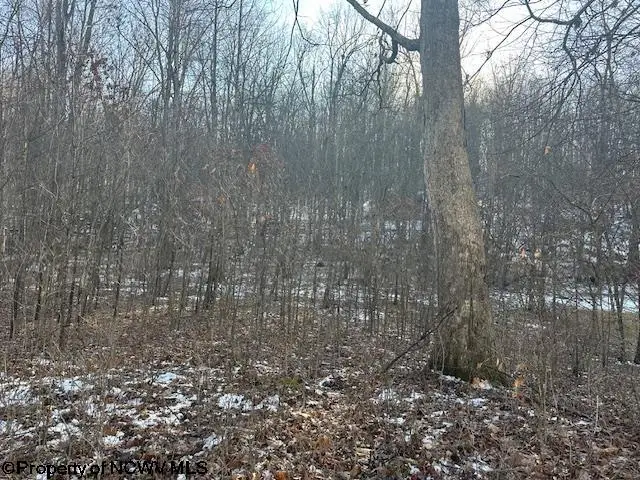 TBD Lakeside Drive, Montrose, WV 26283 - Image #2
