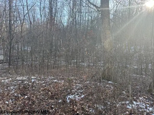 TBD Lakeside Drive, Montrose, WV 26283 - Image #3