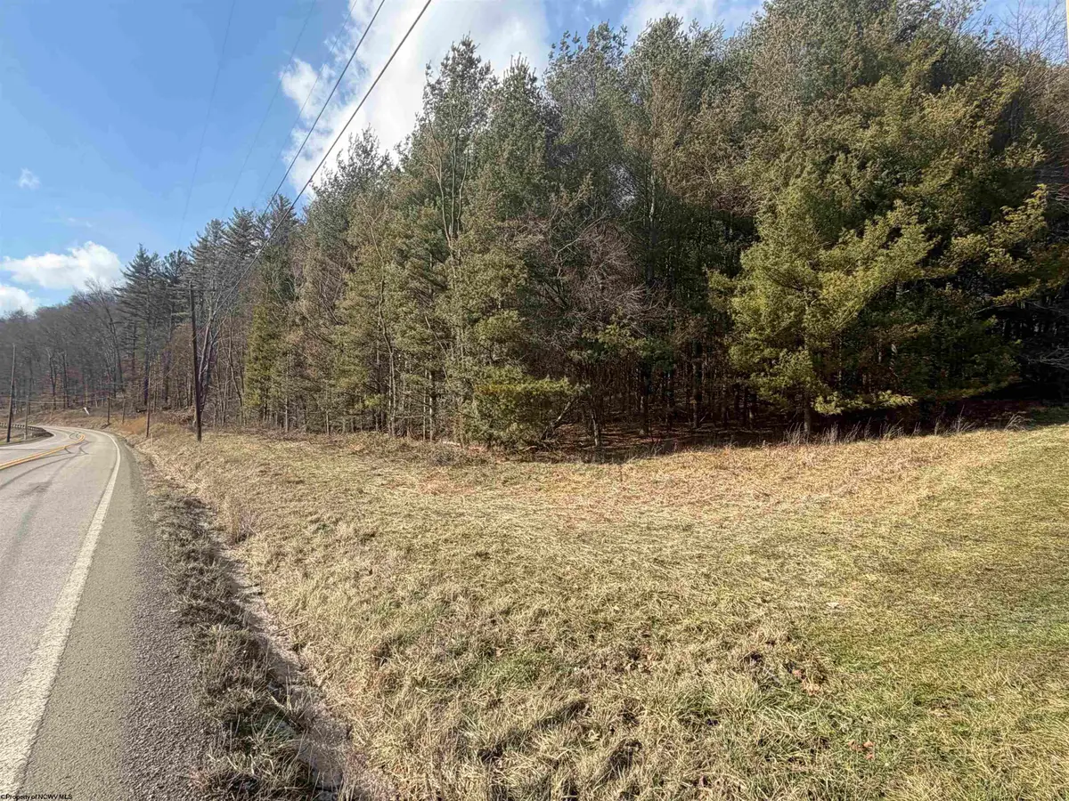 6500 Seneca Trail, Mill Creek, WV 26280 - Image #1