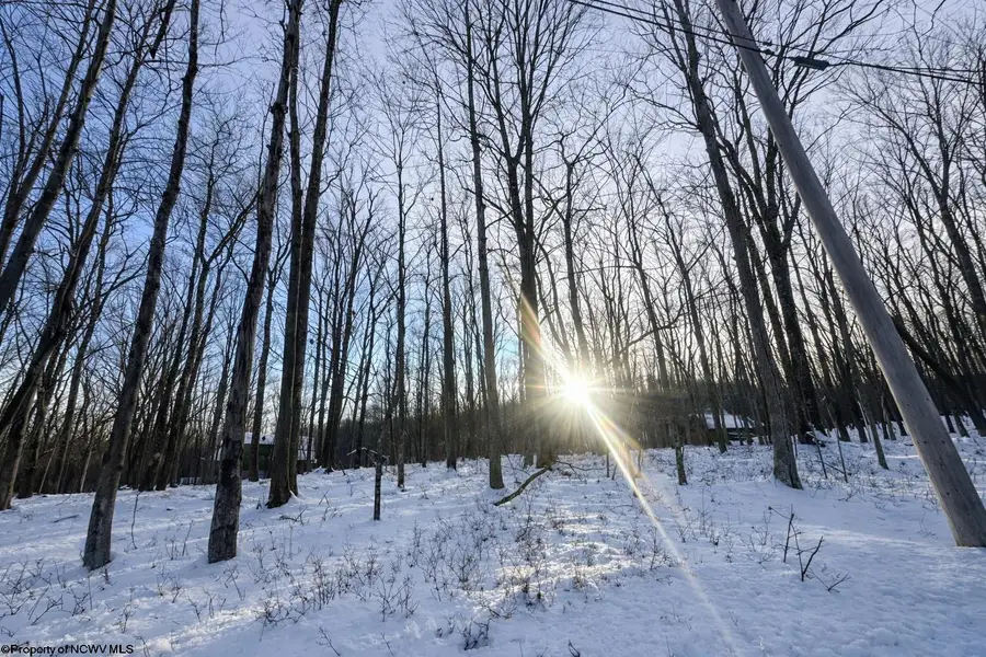 TBD Hemlock Circle, Terra Alta, WV 26764 - Image #3