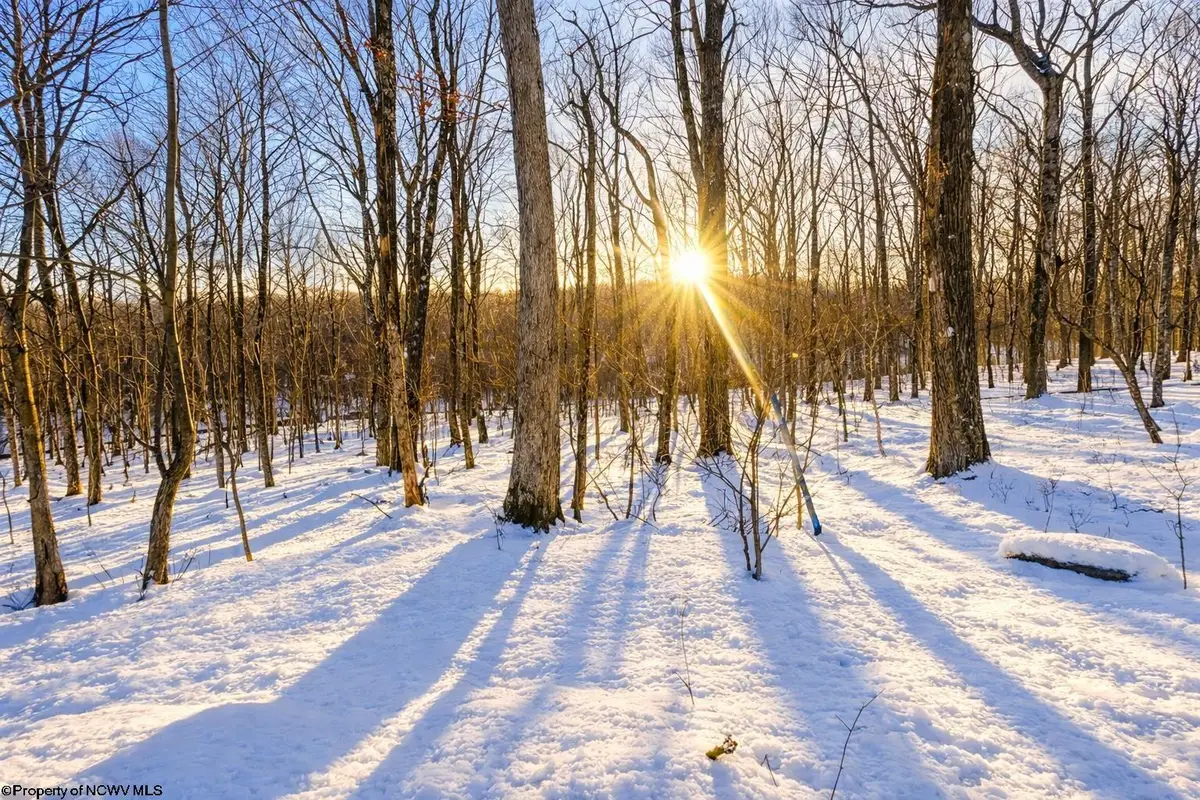 TBD Ash Court, Terra Alta, WV 26764 - Image #1