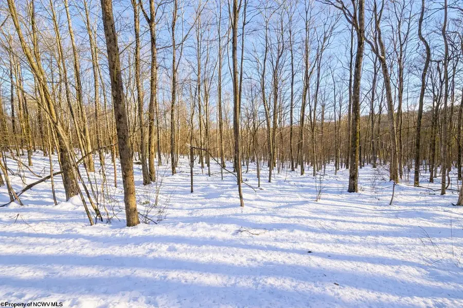 TBD Ash Court, Terra Alta, WV 26764 - Image #2