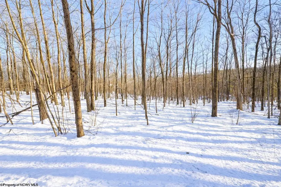 TBD Ash Court, Terra Alta, WV 26764 - Image #3