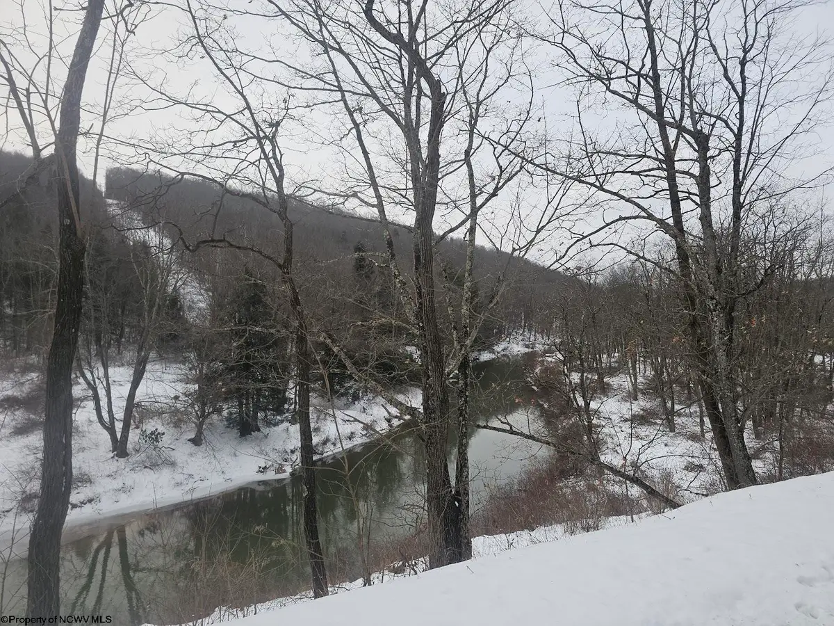 TBD Route 50 (RR), Gormania, WV 26720 - Image #1