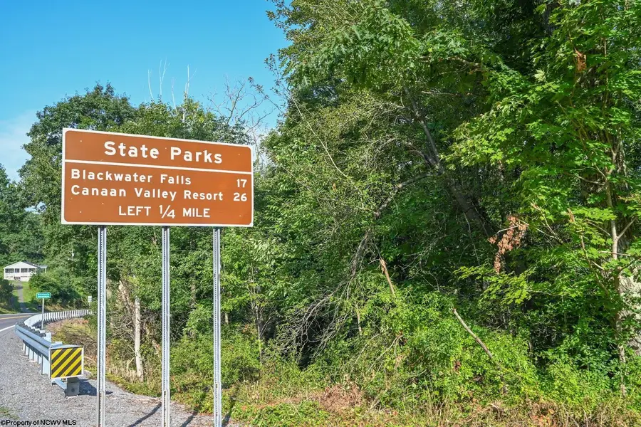 TBD Route 50 (RR), Gormania, WV 26720 - Image #3